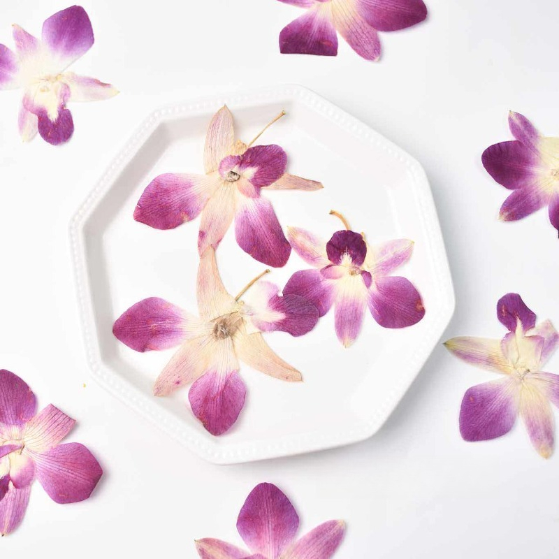 Resin Art Frame - 4 stuks, echte geperste vlinderorchideebloemen, doe-het-zelf