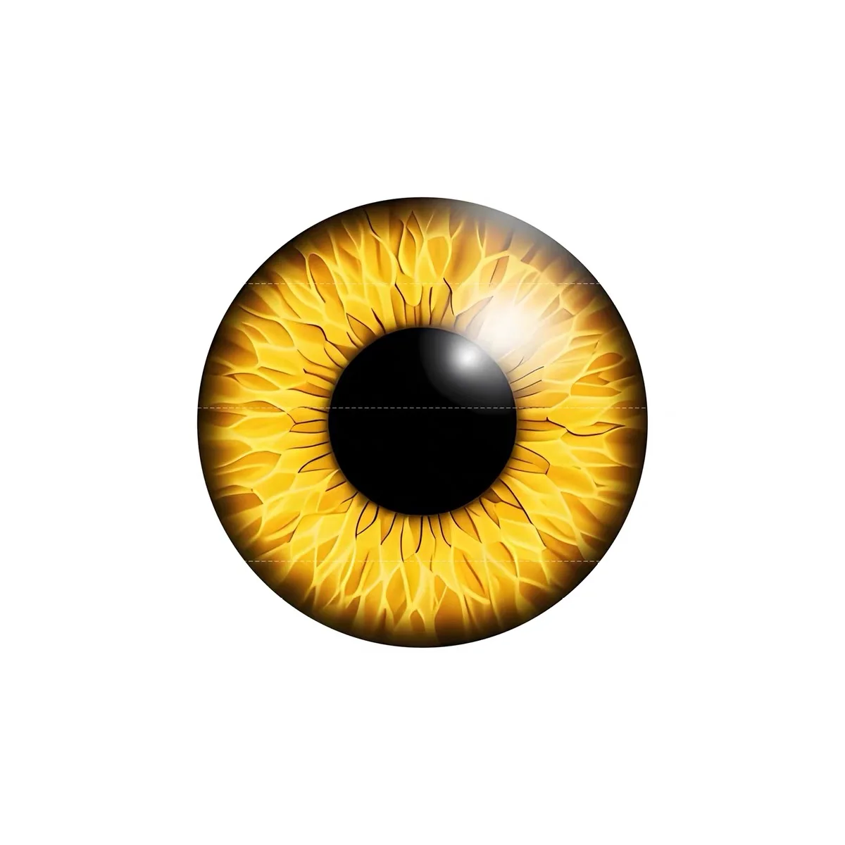 BJD SD Beast's Eye oogbol Popo - Resin Art Gift For Birthday recensie en prijs