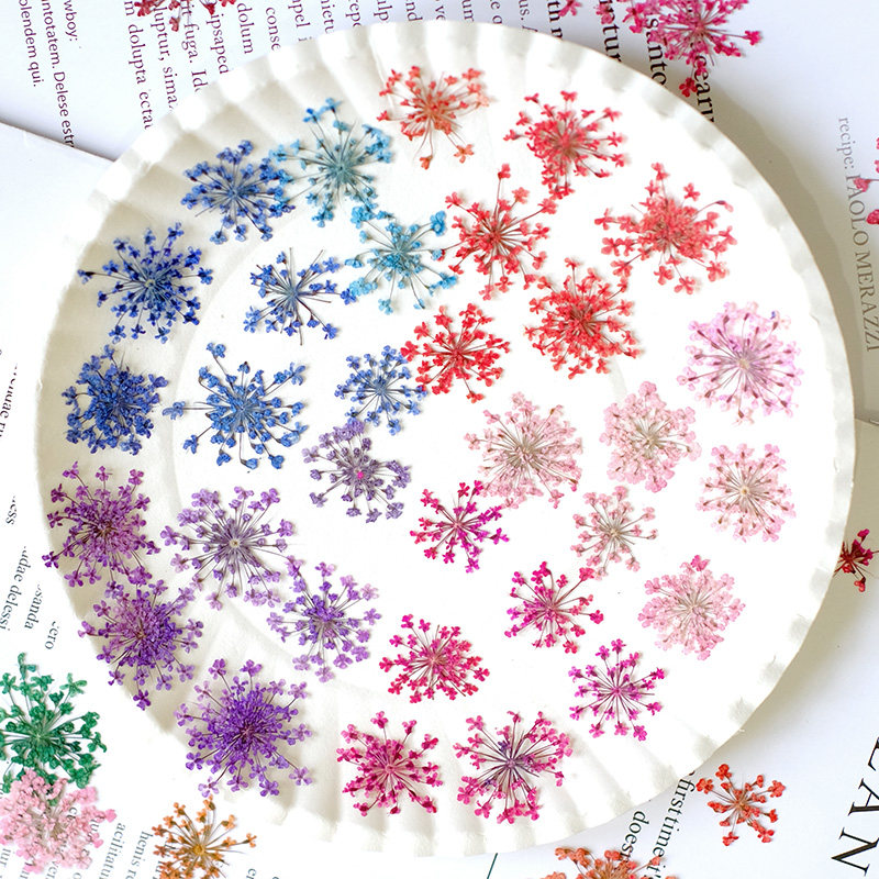 24 stuks, 2-2,5 cm, natuurlijk - Resin Art Frame recensie en prijs