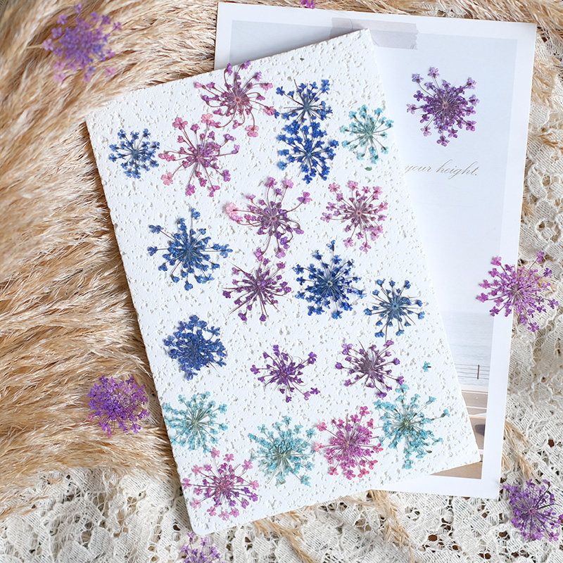24 stuks, 2-2,5 cm, natuurlijk - Resin Art Frame recensie en prijs